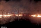 Gerak-Cepat-Polres-Sikka-dan-Petugas-Bandara,-Kebakaran-Lahan-di-Waioti-Berhasil-Dipadamkan