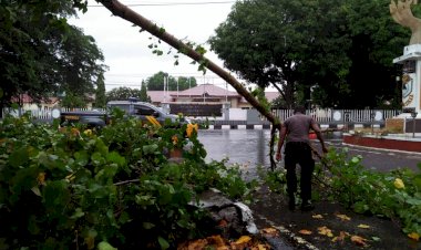 Diguyur-Hujan-Sejak-Subuh,-Sampah-dan-Pohon-Tumbang-Berserakan-Di-Jalan,-Anggota-Polres-Sikka-Dan-Polsek-Jajaran-Turun-Tangan