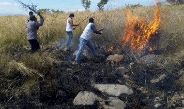 Kebakaran-Di-Kawasan-Hutan-Lindung-Egon,-Desa-Hoder,-Kapolres-Sikka-Turun-Langsung-Padamkan-Api-Dengan-Alat-Seadanya