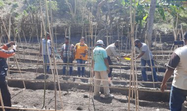 Kapolsek-Lela-Hadiri-Kegiatan-Penanaman-Benih-Tomat-Pada-Kelompok-Tani-