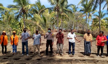 Bripka-Luis-Hadiri-Kegiatan-Penanaman-Bibit-Tomat-Pada-Lahan-Kelompok-Wanita-Tani-