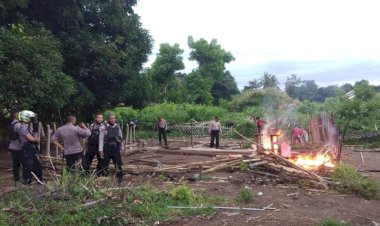 Polres-Sikka-Bubarkan-Judi-Sabung-Ayam-Di-Kelurahan-Hewuli