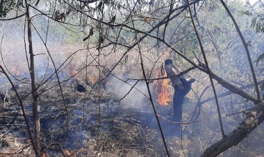 Karhutlah-di-Kolibuluk,-Kapolsek-Waigete-Sigap-Padamkan-Sisa-Api-Dengan-Alat-Seadanya