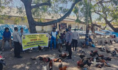 Operasi-Bina-Kusuma-2022,-Sat-Binmas-Polres-Sikka-Sosialisasi-Bahaya-Narkoba,-Kenakalan-Remaja-dan-Premanisme