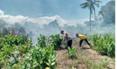 Kapolsek-Kewapante-Bersama-Personelnya-Bantu-Padamkan-Api-Kebakaran-Lahan