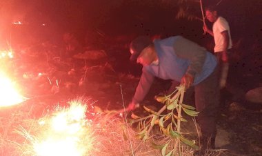 Personil-Polsek-Waigete-Berjibaku-Memadamkan-Api-Karhutla-Menggunakan-Dahan-Pohon