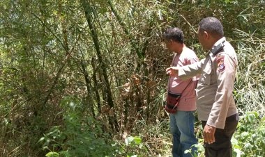 Tragedi-Maut:-Petani-Tewas-Tersengat-Listrik-saat-Memotong-Bambu-Aur