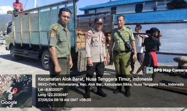 POSPOL-KP3-LAUT-LAKSANAKAN-PATROLI-RUTIN-JAMIN-KEAMANAN-DAN -KETERTIBAN-DI-PELABUHAN-LAUT-MAUMERE