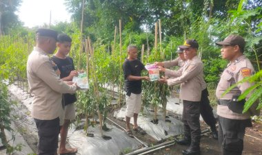 Polsek-Paga-Berikan-Bantuan-Bibit-Holtikultura-untuk-Tingkatkan-Ketahanan-Pangan
