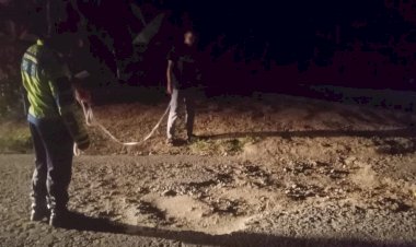 Kecelakaan-Lalu-Lintas-di-Napungliti,-Desa-Hepang,-Kabupaten-Sikka,-Sat-Lantas-Polres-Sikka-Lakukan-Olah-TKP