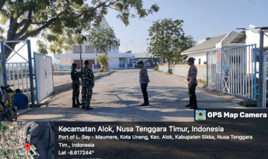 Kapal-Asing-National-Geographic-Orion-Sandar-di-Pelabuhan-L.-Say-Maumere,-Bawa-90-Wisatawan-Mancanegara