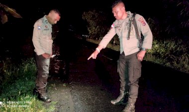 Motor-Tergelincir-di-Jalan-Trans-Maumere-Larantuka,-Satu-Korban-Luka-Serius