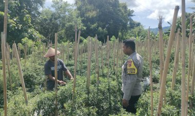 Bhabinkamtibmas-Desa-Bhera-Beri-Motivasi-Warga-Dukung-Ketahanan-Pangan-Nasional-melalui-Pendataan-Lahan-Produktif