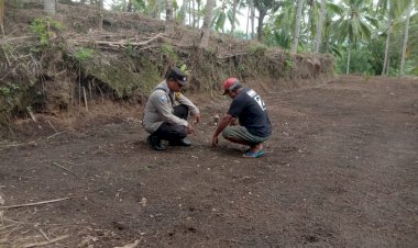 Bhabinkamtibmas-Polres-Sikka-Kawal-Program-Penanaman-1-Juta-Hektar-Jagung-untuk-Ketahanan-Pangan-Nasional