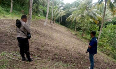 Dukung-Ketahanan-Pangan--di-Lela-dan-Hokor-:-Bhabinkamtibmas-Polres-Sikka-Aktif-Pantau-Perkembangan-Jagung