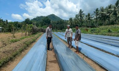 Polres-Sikka-Bergerak!-Optimalisasi-Pekarangan-untuk-Ketahanan-Pangan-Nasional