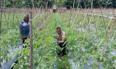 Polres-Sikka-Dukung-Ketahanan-Pangan:-Monitoring-Desa-Percontohan-untuk-Optimalisasi-Lahan