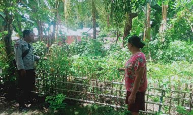 Bhabinkamtibmas-Desa-Lela-Dampingi-Program-Pekarangan-Bergizi-untuk-Ketahanan-Pangan