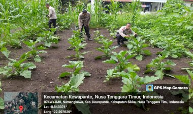 Bhabinkamtibmas-Polres-Sikka-Gencarkan-Pendampingan-Petani-di-Kewapante,-Magepanda,-dan-Wuring-untuk-Dukung-Ketahanan-Pangan