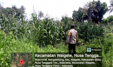 Polres-Sikka-Apresiasi-Peran-Bhabinkamtibmas-dalam-Mendukung-Ketahanan-Pangan