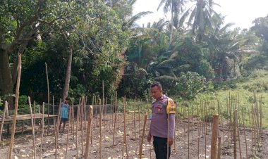 Polisi-Penggerak-di-Desa-Ipir:-Wujudkan-Ketahanan-Pangan-Demi-Kesejahteraan-Masyarakat