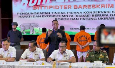 Dittipidter-Bareskrim-Polri-Ungkap-Perdagangan-Ilegal-Gading-Gajah-di-Sukabumi-dan-Jakarta