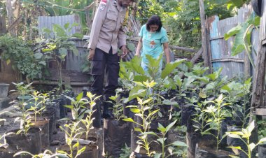 “Polisi-Menanam,-Warga-Terinspirasi:-Aksi-Hijau-Bhabinkamtibmas-Kota-Uneng-Sikka-di-Tengah-Kota”