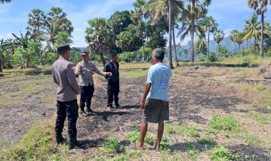 Polres-Sikka-Cek-Lokasi-Lahan-untuk-Penanaman-Jagung-Serentak-Kuartal-III,-Wujud-Dukung-Ketahanan-Pangan-Nasional