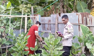 Polisi-Menanam,-Warga-Terinspirasi:-Aksi-Hijau-Bhabinkamtibmas-Sikka-untuk-Ketahanan-Pangan