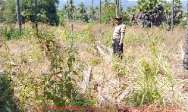 BHABINKAMTIBMAS-KOORDINASI-DENGAN-KETUA-POKTAN-DALAM-RANGKA-KETAHAN-PANGAN