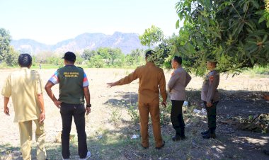 Kapolres-Sikka-Polda-NTT-Bersama-Kadis-Pertanian-Kab.Sikka-Tinjau-Lokasi-Penanaman-Jagung