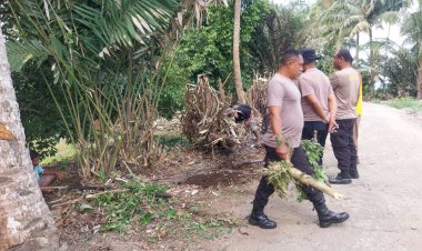 “Persiapan-Peresmian-Kandang-Batim,-Polres-Sikka-dan-Polsek-Bola-Turun-Gelar-Kurve”