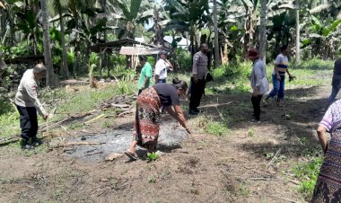 “Bersama-Petani,-Polres-Sikka-Polda-NTT-Wujudkan-Lumbung-Jagung-Kapolda-NTT-Demi-Ketahanan-Pangan-Nasional”