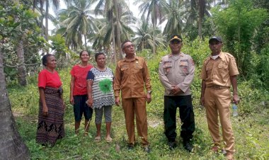Sinergi-Polri-dan-Dinas-Pertanian-Sikka-Wujudkan-Lumbung-Jagung-di-Kecamatan-Nita