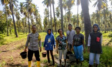 Polres-Sikka-Polda-NTT-dan-Petani-Bersinergi:-Lahan-Misi-Patiahu-Ledalero-Siap-Jadi-Lumbung-Jagung-Sikka
