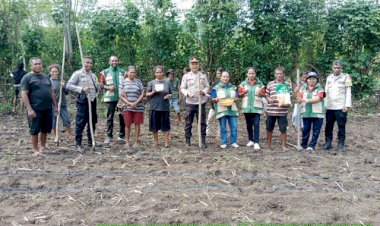 Dari-Keamanan-ke-Ketahanan-Pangan,-Bhabinkamtibmas-Polres-Sikka-Polda-NTT-Awali-Tanam-Jagung-Bersama-Petani