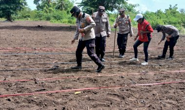 Satu-Hektare-Jagung-Hibrida-Ditanam,-Polsek-Alok-Polres-Sikka-dan-Petani-Bersatu-Dukung-Ketahanan-Pangan