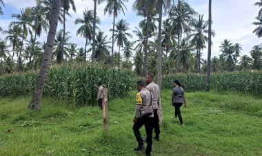 Pastikan-Agenda-Nasional-Berjalan-Optimal,-Polres-Sikka-Polda-NTT-Lakukan-Pengecekan-Lokasi-Panen-Raya
