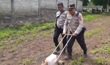 Ketahanan-Pangan-Dimulai-dari-Desa,-Polres-Sikka-Polda-NTT-Dampingi-Poktan-Tati-Nahing-Tanam-Jagung