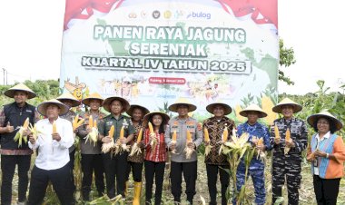 Kapolda-NTT-Pimpin-Panen-Raya-Jagung-Kuartal-IV-2025,-Perkuat-NTT-sebagai-Lumbung-Jagung-Nasional
