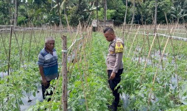 Personil-Bhabinkamtibmas-Polsek-Nita-Polres-Sikka-Polda-NTT-Rutin-Dampingi-Kelompok-Tani-dan-warga-Tani-di-Kecamatan-Nita-Kab.Sikka