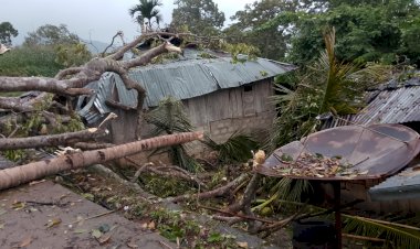 Angin-Kencang-Robohkan-Pohon,-Dua-Rumah-Warga-Nita-Rusak-Berat