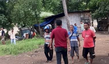 Digelar-Terbuka-dan-Meresahkan,-Judi-Sabung-Ayam-Pisau-Digerebek-Polres-Sikka-Polda-NTT