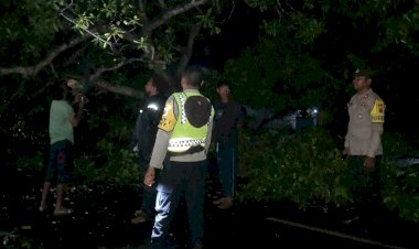 Hujan,-Gelap,-dan-Pohon-Tumbang:-Aksi-Cepat-Polsek-Waigete-Polres-Sikka-Selamatkan-Jalur-Maumere–Larantuka