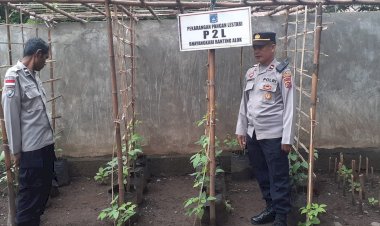 Dari-Mako-ke-Lahan-Produktif:-Polsek-Alok-Polres-Sikka-Polda-NTT-Gerakkan-Ketahanan-Pangan-Nasional