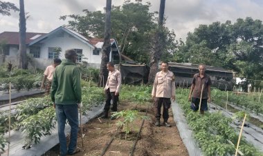 Dari-Pekarangan-Warga-ke-Ketahanan-Pangan-Nasional,-Jajaran-Polres-Sikka-Pantau-Lahan-Hortikultura-di-Hokor