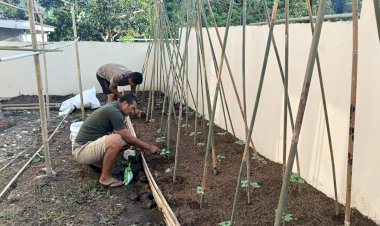 “Hijaukan-Pekarangan,-Kuatkan-Ketahanan:-Inisiatif-Pangan-Polsubsektor-Mego-Polsek-Paga-Polres-Sikka