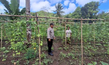Polres-Sikka-Turun-ke-Lahan,-Ketahanan-Pangan-Tak-Lagi-Sekadar-Program,-Tapi-Gerakan-Nyata-di-Sikka
