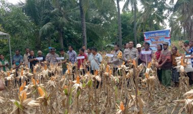 “Bukan-Sekadar-Panen:-Dari-Waihawa-hingga-Hepang,-Sikka-Sedang-Menanam-Masa-Depan-Pangan”
