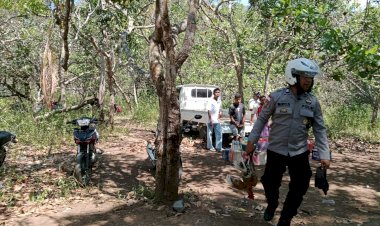 Arena-Judi-Sabung-Ayam-Disergap-Polsek-Paga-Polres-Sikka,-Pelaku-Berhamburan,-Lima-Ayam-Diamankan